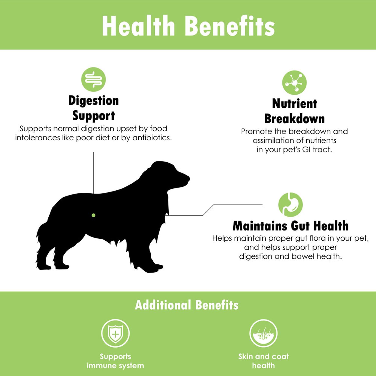 Mezcla Proflora de cepas para digestión equilibrada