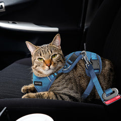 Arnés para gato MHHYQF idóneo para exterior y entrenamiento.