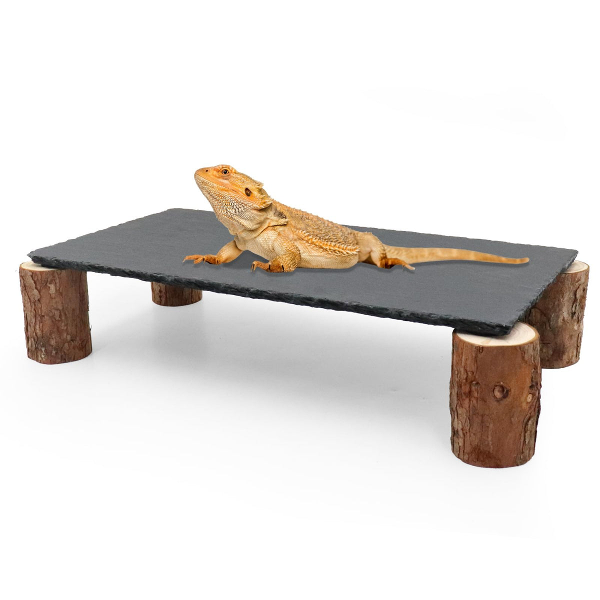 MHLLGN plataforma de calor para dragón barbudo, favorece una sesión de temperatura estable para el confort.