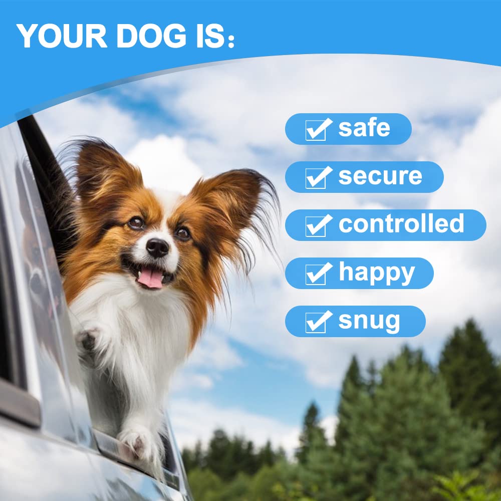 Mi Metty trajet voiture confort pour chien pendant le voyage