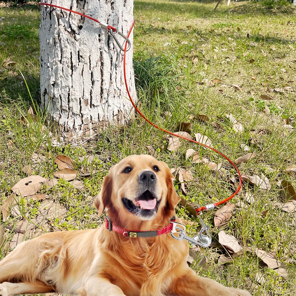 Mi Metty uso para perros de diferentes tamaños, ideal para cachorros.