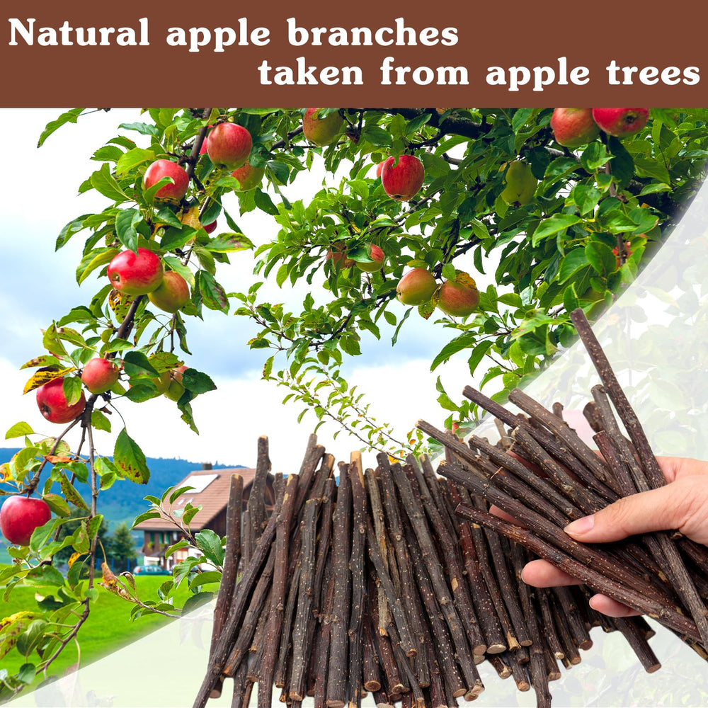 MIALEXO Juguete de masticación de manzana: aroma natural y sabor suave para mascotas pequeñas