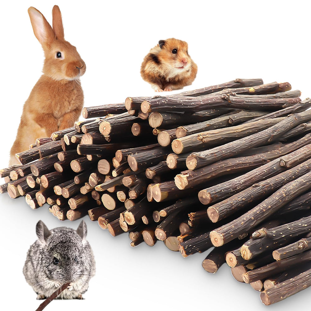 MIALEXO palitos de manzana natural para roedores: estimulan la masticación y cuidan dientes naturalmente.
