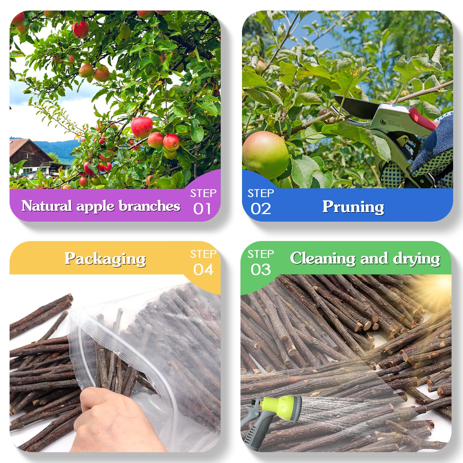 MIALEXO Palitos de manzana premium: proceso de secado uniforme y seguro para roedores