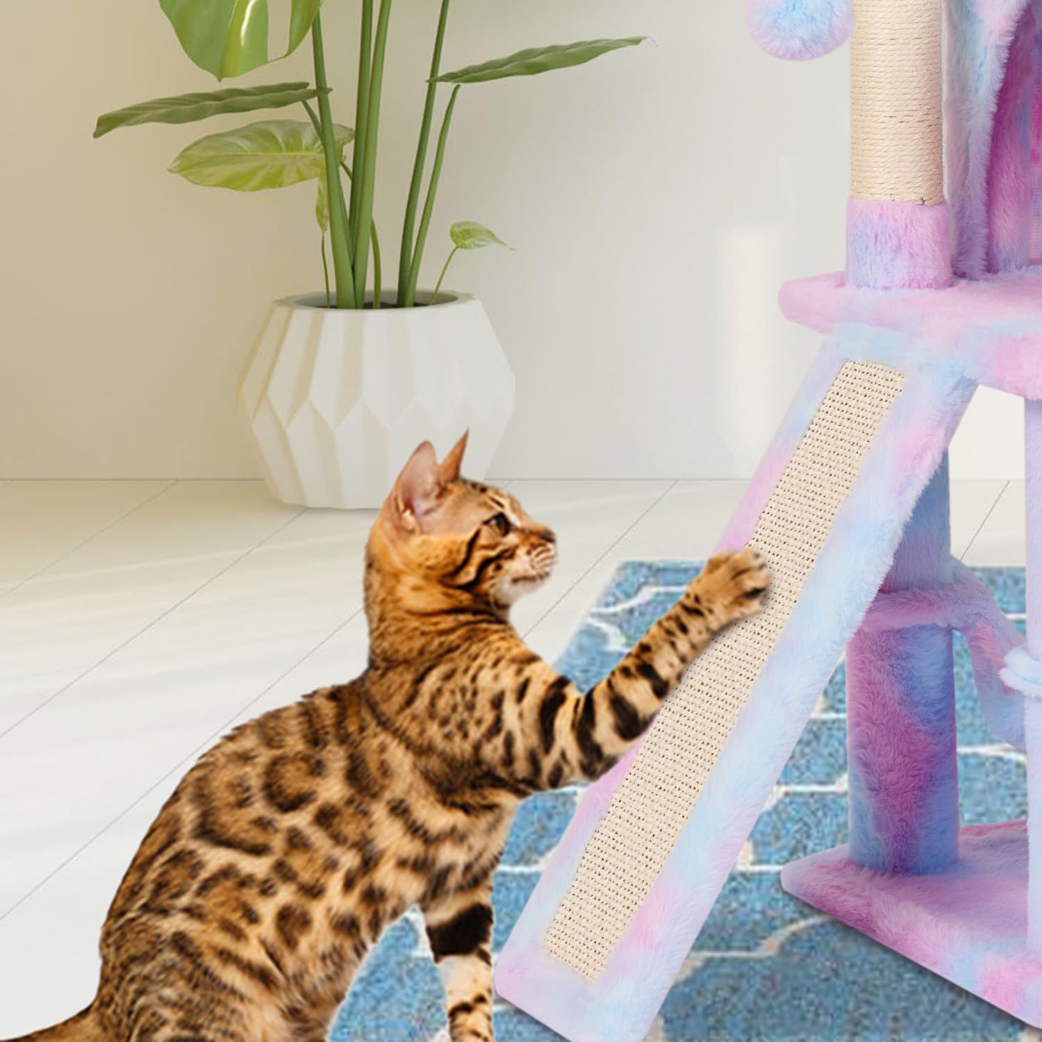 MIAO PAW bola-colgante para entretenimiento interactivo