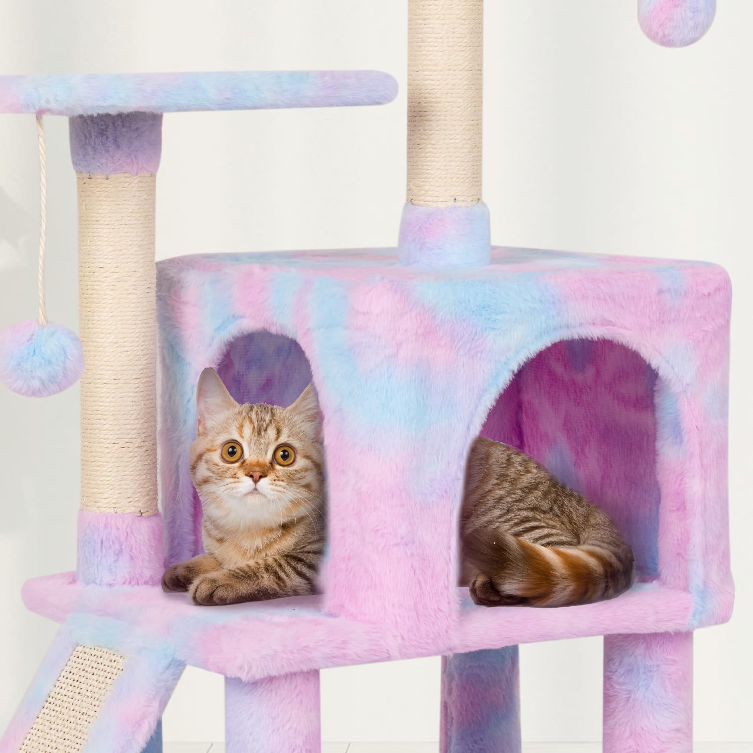 MIAO PAW casa-actividades para gato, espacio de juego