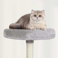 MIAO PAW Casita actividad moderno: diseño atractivo para felinos curiosos.