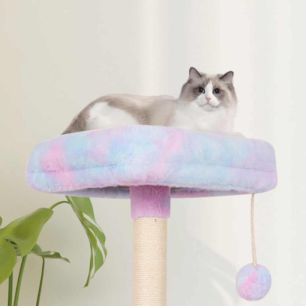 MIAO PAW tablero-base estable y seguro para gato