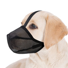 Miavers bozal para perros con malla suave y tamaño XS, comodidad diaria.
