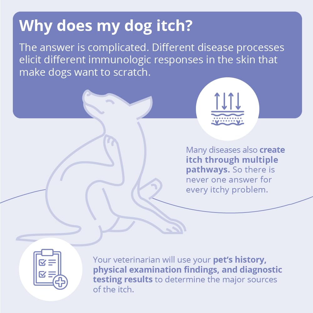 MiconaHex+Triz Shampoo para rutina de baño de mascotas.