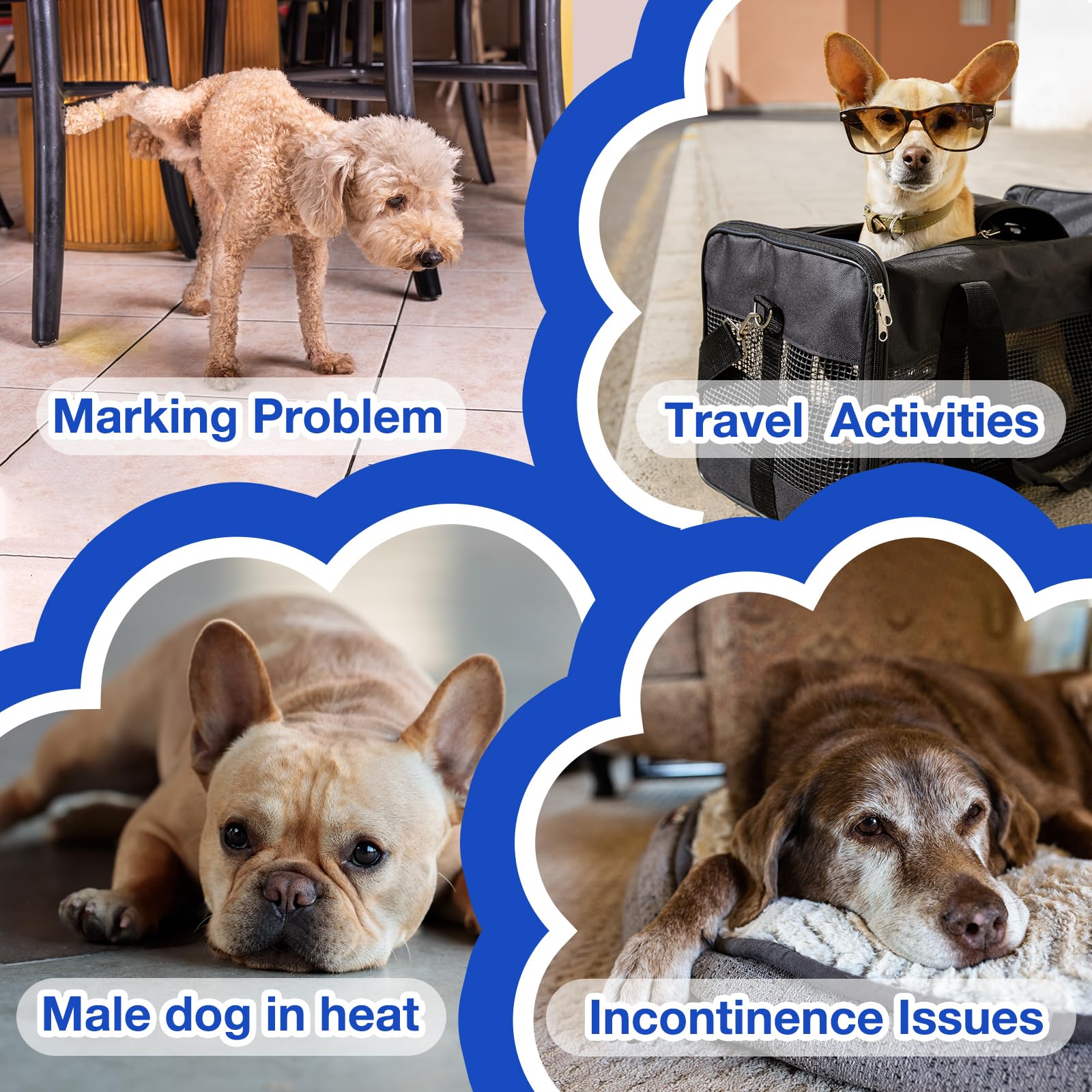 MICOOYO pañales para perros, ideales para viajes y cuidado diario.