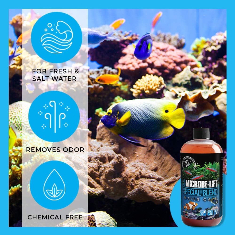 MICROBE-LIFT Special Blend: seguro para peces e invertebrados y plantas del acuario.