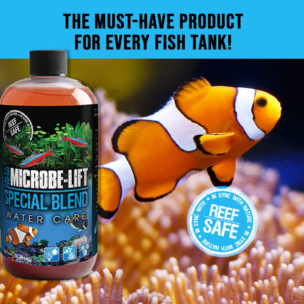MICROBE-LIFT Special Blend ayuda a descomponer desechos para agua más clara.