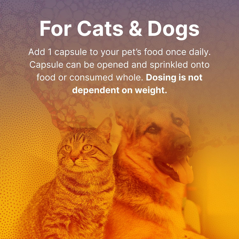 Microbiome Labs Fidospore: Pediococcus acidilactici para la salud digestiva en perros.