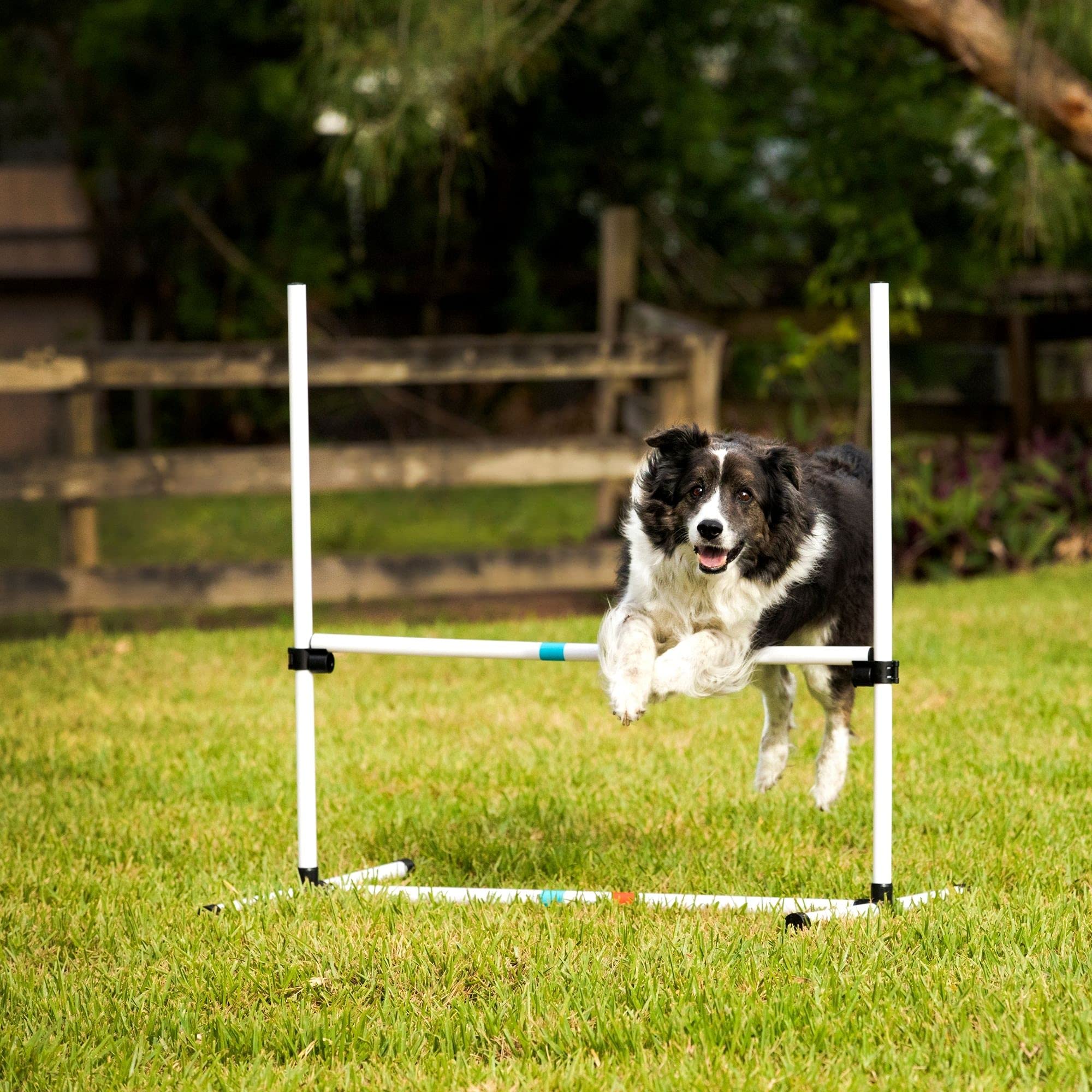 Conjunto de 4 saltos para entrenamiento diario de perros Midlee