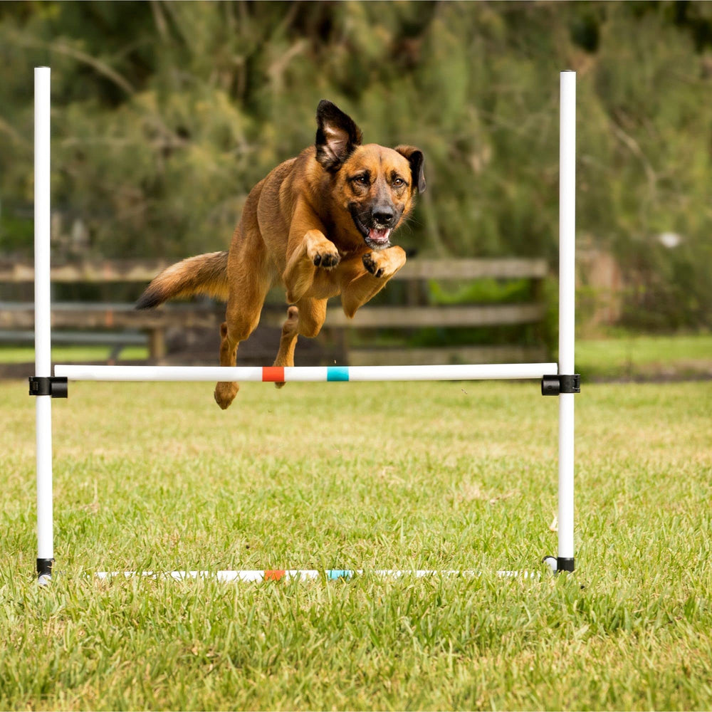 Envío en piezas con montaje sencillo de Midlee para practicar