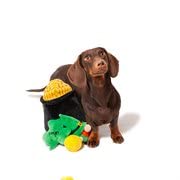 Midlee Hide-A-Toy Montón de oro de peluche, ideal para juego de persecución.