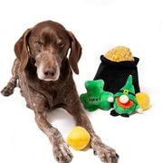 Midlee Hide-A-Toy Oro en 2 piezas, estímulo sensorial para perros curiosos.