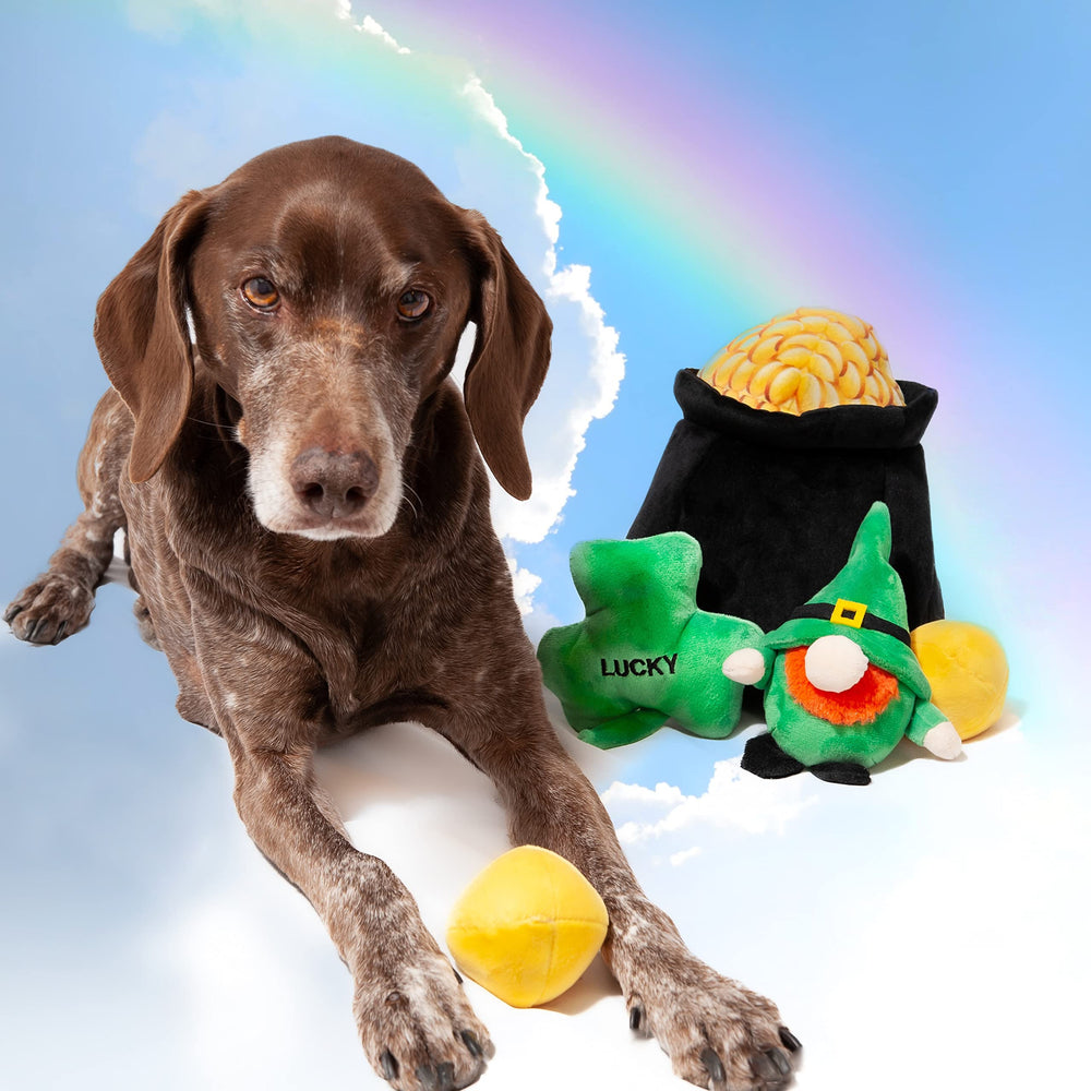 Midlee Hide-A-Toy Seis piezas con sonajeros para perros curiosos.