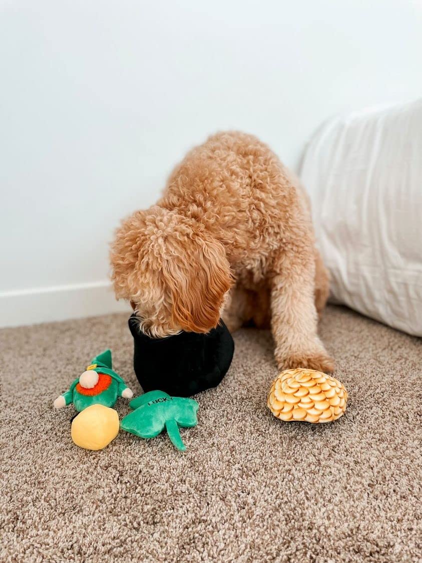 Midlee Hide-A-Toy Trébol de peluche, textura suave para morder y explorar.