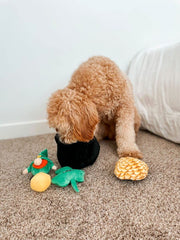 Midlee Hide-A-Toy Trébol de peluche, textura suave para morder y explorar.