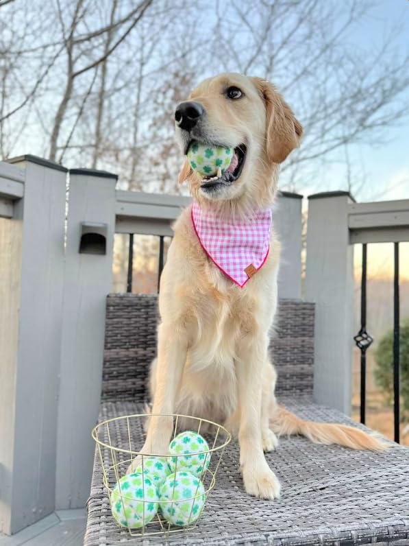 Pelotas de tenis Midlee en escena exterior con perro, ideal para juego