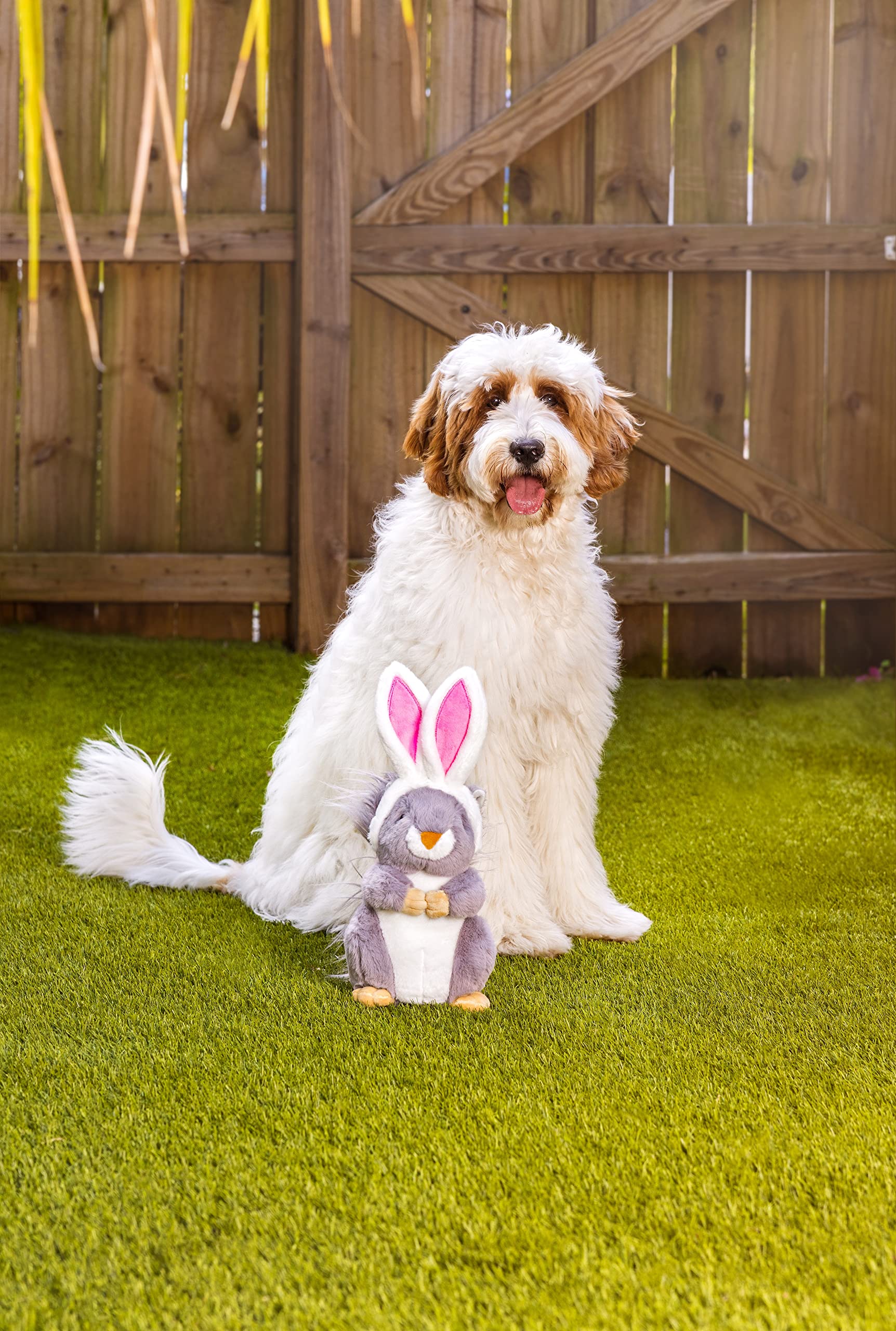 Regalo de Pascua Midlee para perros grandes, ocasión festiva.