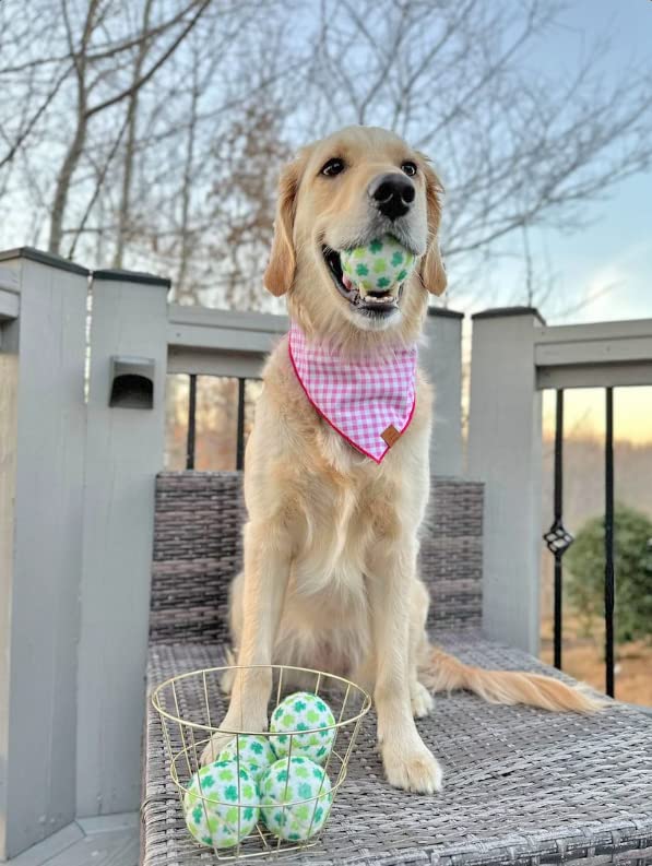Pelotas de tamaño regular para perros medianos y grandes, juego estable