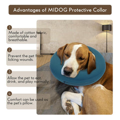 MIDOG collar donut postoperatorio: ayuda a comer y dormir con comodidad