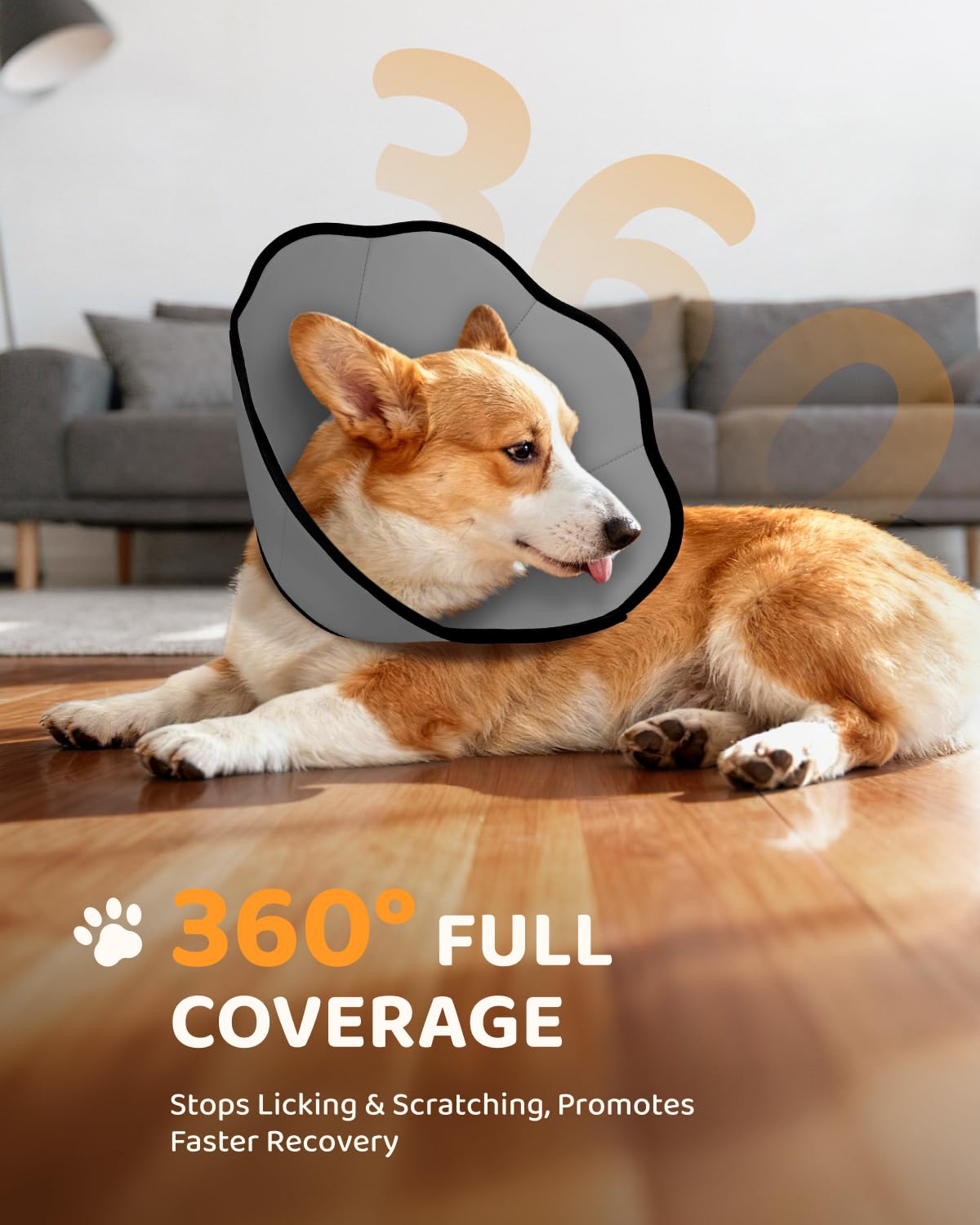 MIDOG cono ajustable para perros de diferentes tamaños.