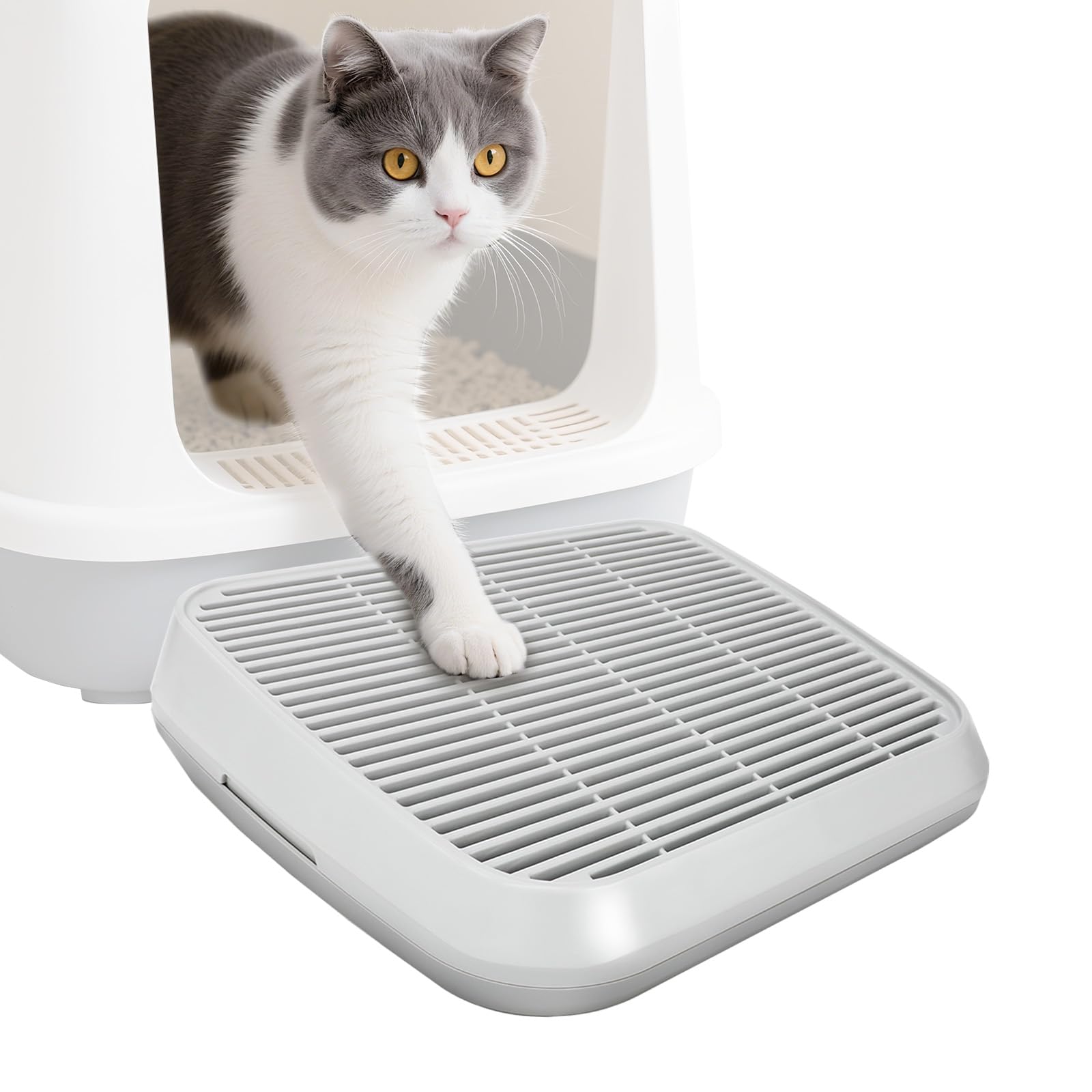 Midollarle rampa para gato junto a caja de arena, facilita subir al entrar a la caja