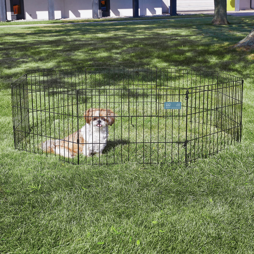 MidWest Homes for Pets: diseño sin puerta para mayor seguridad del perro