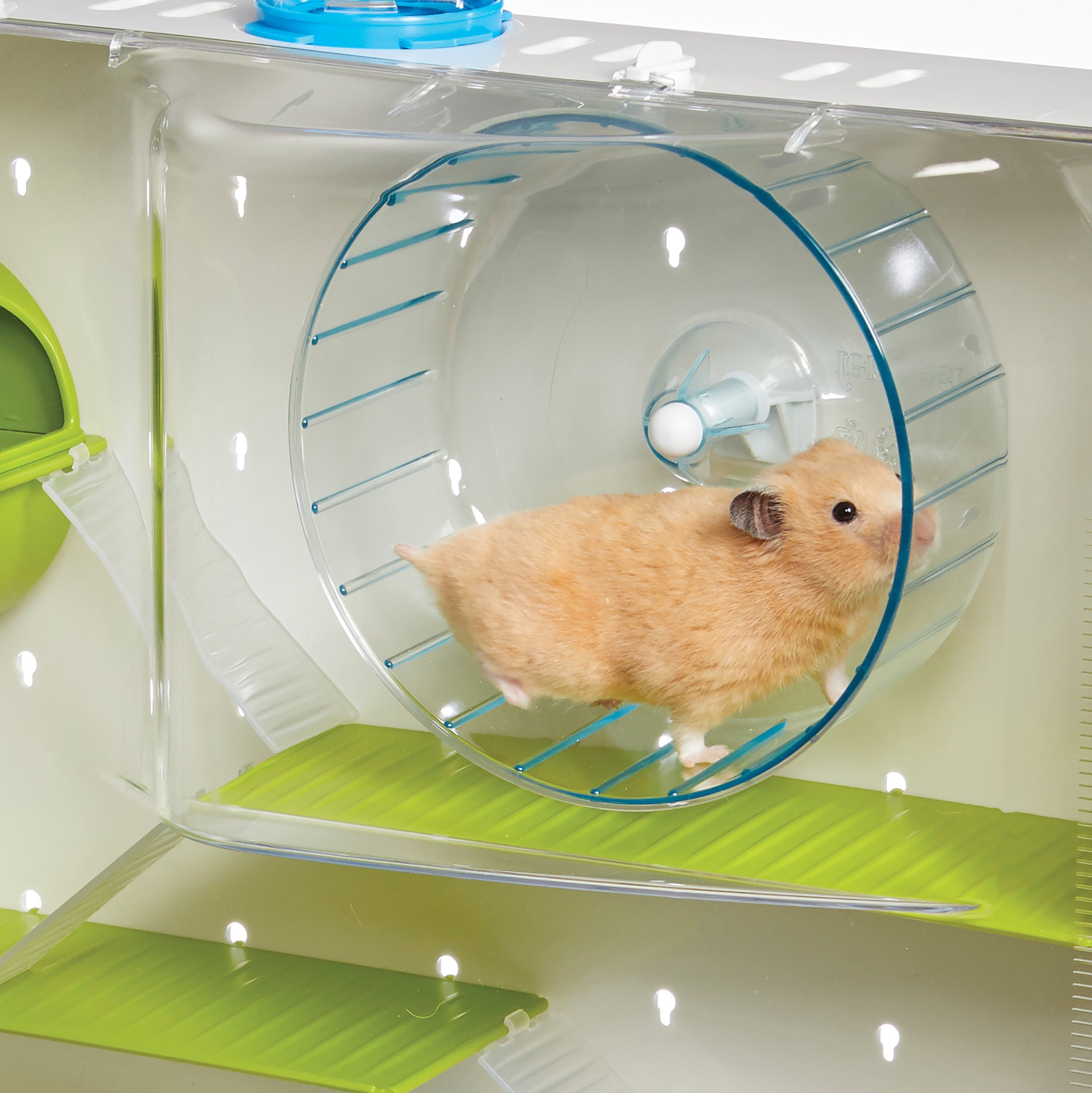 MidWest Homes for Pets Arcade Hamster Home, tapa superior y limpieza rápida