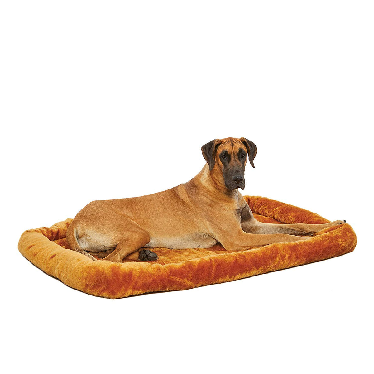 MidWest QuietTime cama gigante para perros, 54x37, con soporte de cuello y cabeza