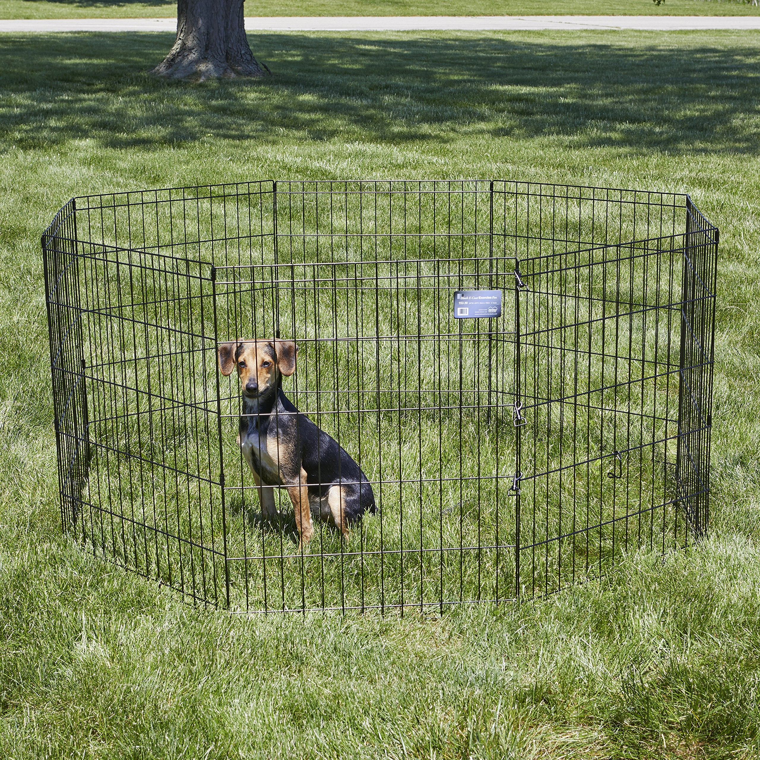 MidWest Homes for Pets corral sin puerta ofrece seguridad sin complicaciones.