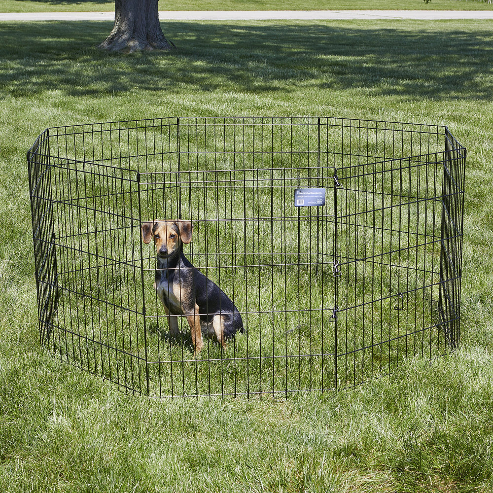 MidWest Homes for Pets corral sin puerta ofrece seguridad sin complicaciones.