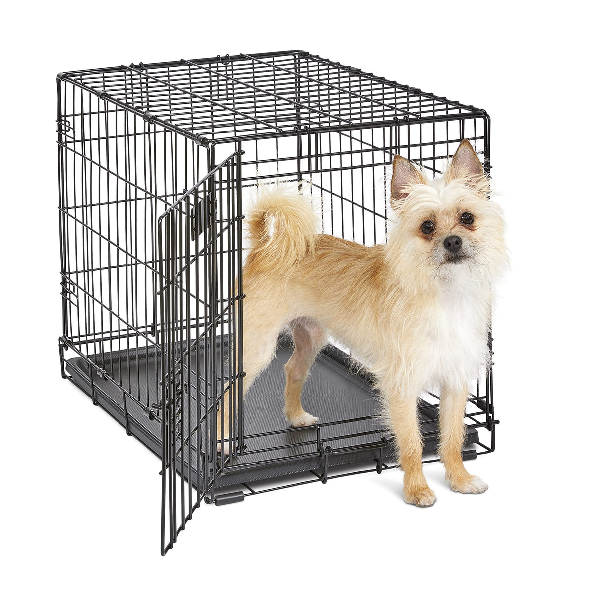 MidWest iCrate de 24 pulgadas vista general para perros pequeños, seguro y cómodo.