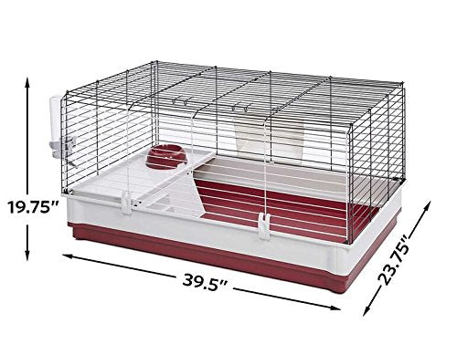 Caja para conejo amplia de MidWest para juego y descanso