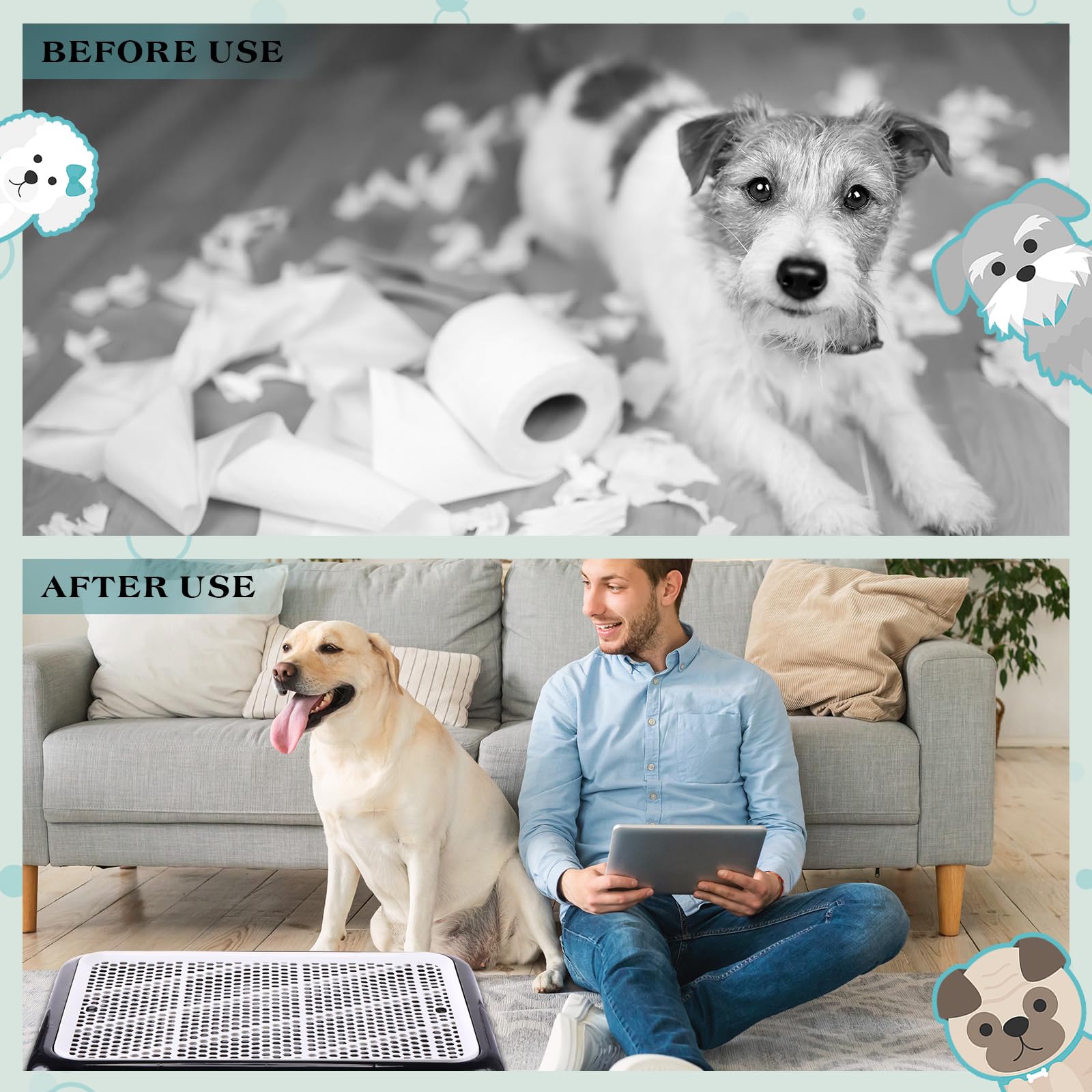 Mifoci diseño-borde-bajo-entrada, acceso cómodo para perros.