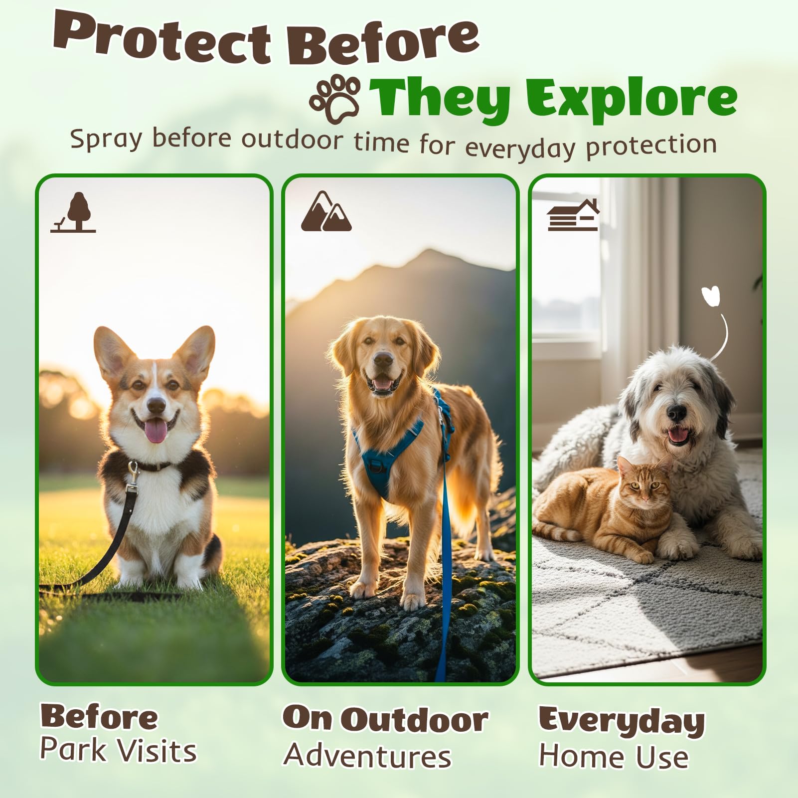Migdracy cuidado diario mascotas, ideal para hogares con varios animales