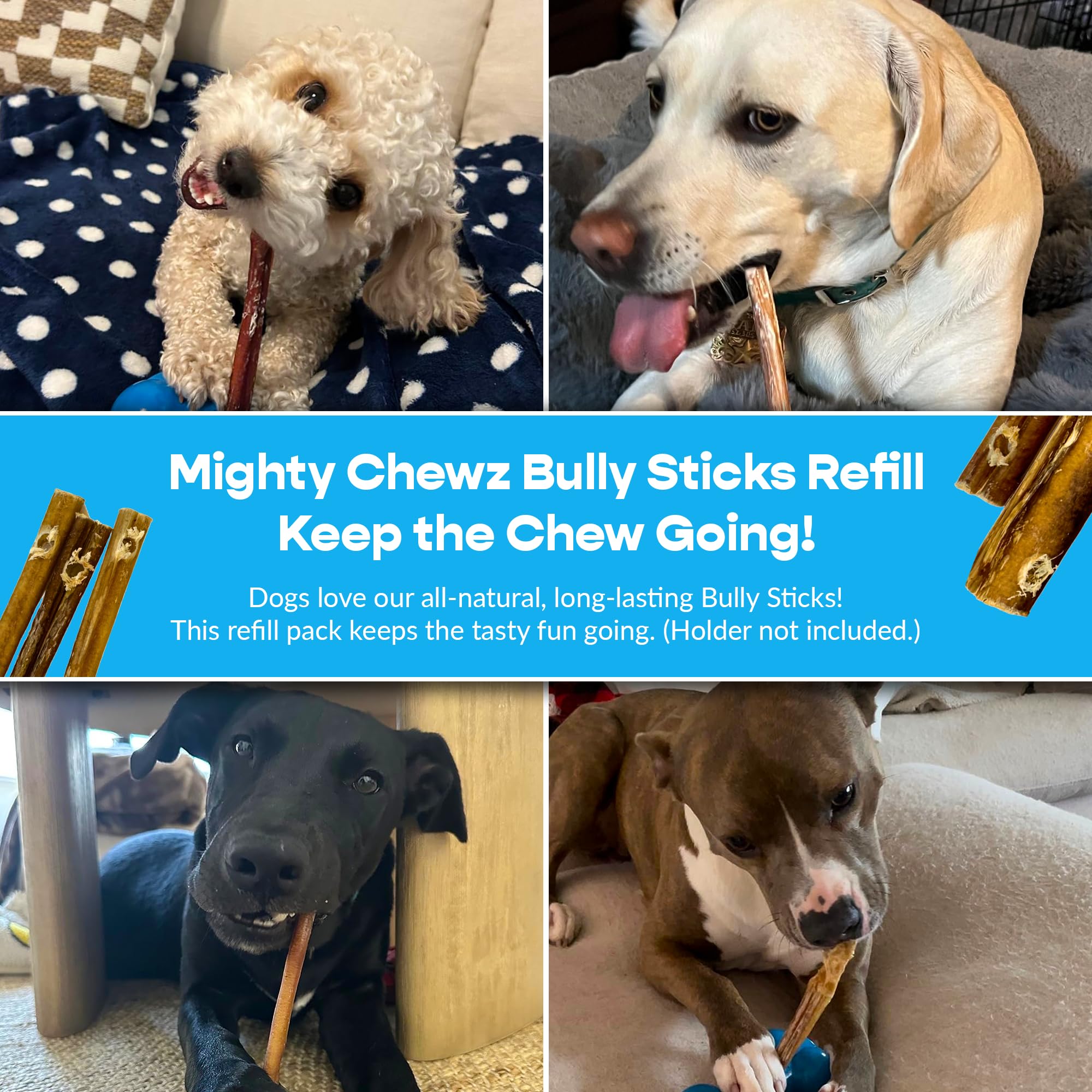 MIGHTY CHEWZ placer para perros durante la merienda.