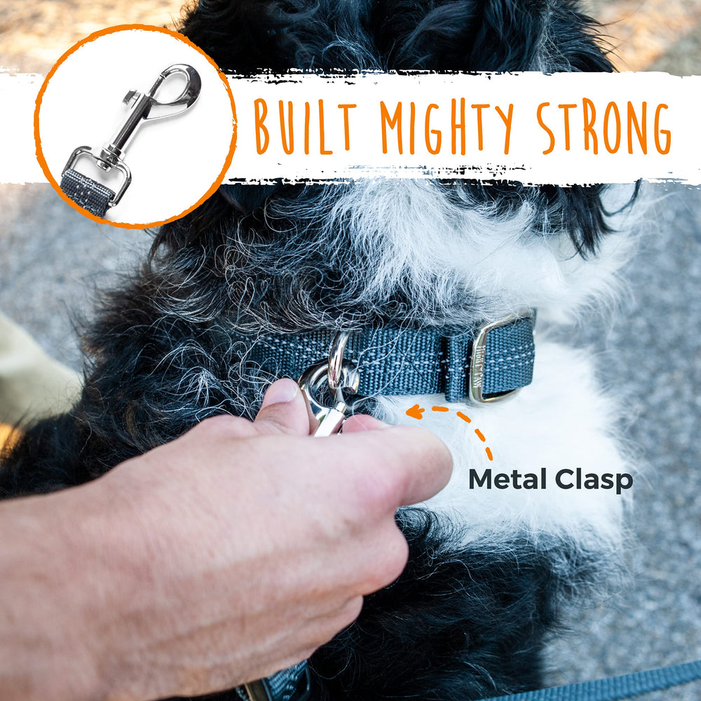 Mighty Paw ajuste universal para todas las razas, versátil para el día a día
