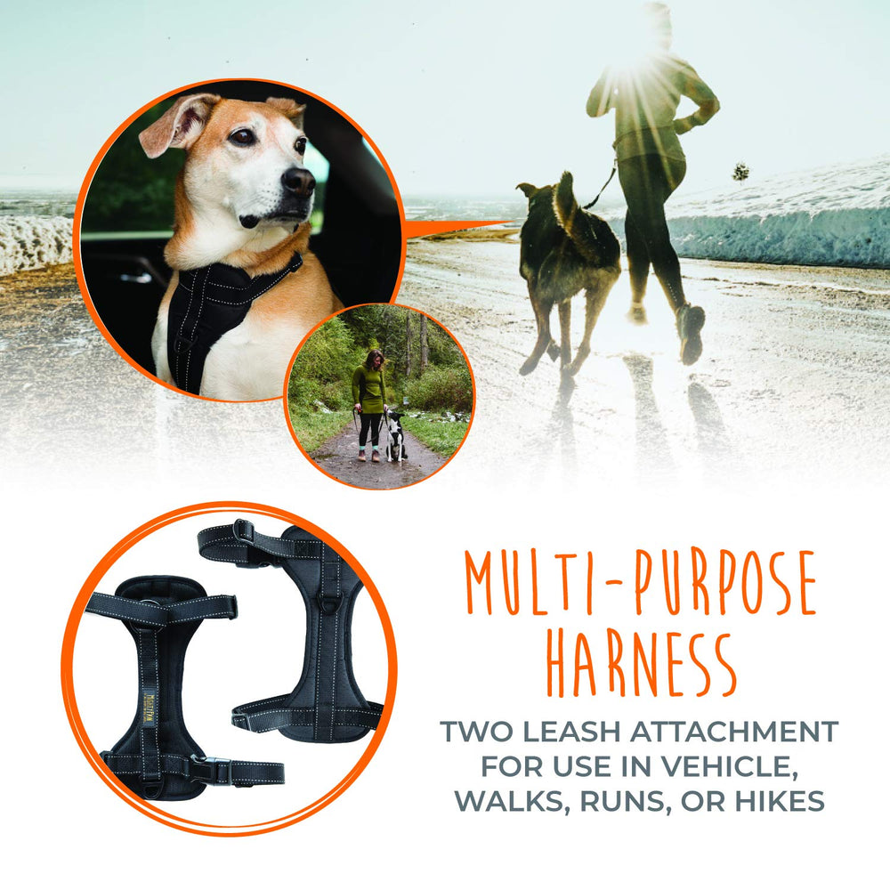 Enganche frontal del arnés Mighty Paw para control sin tirones.