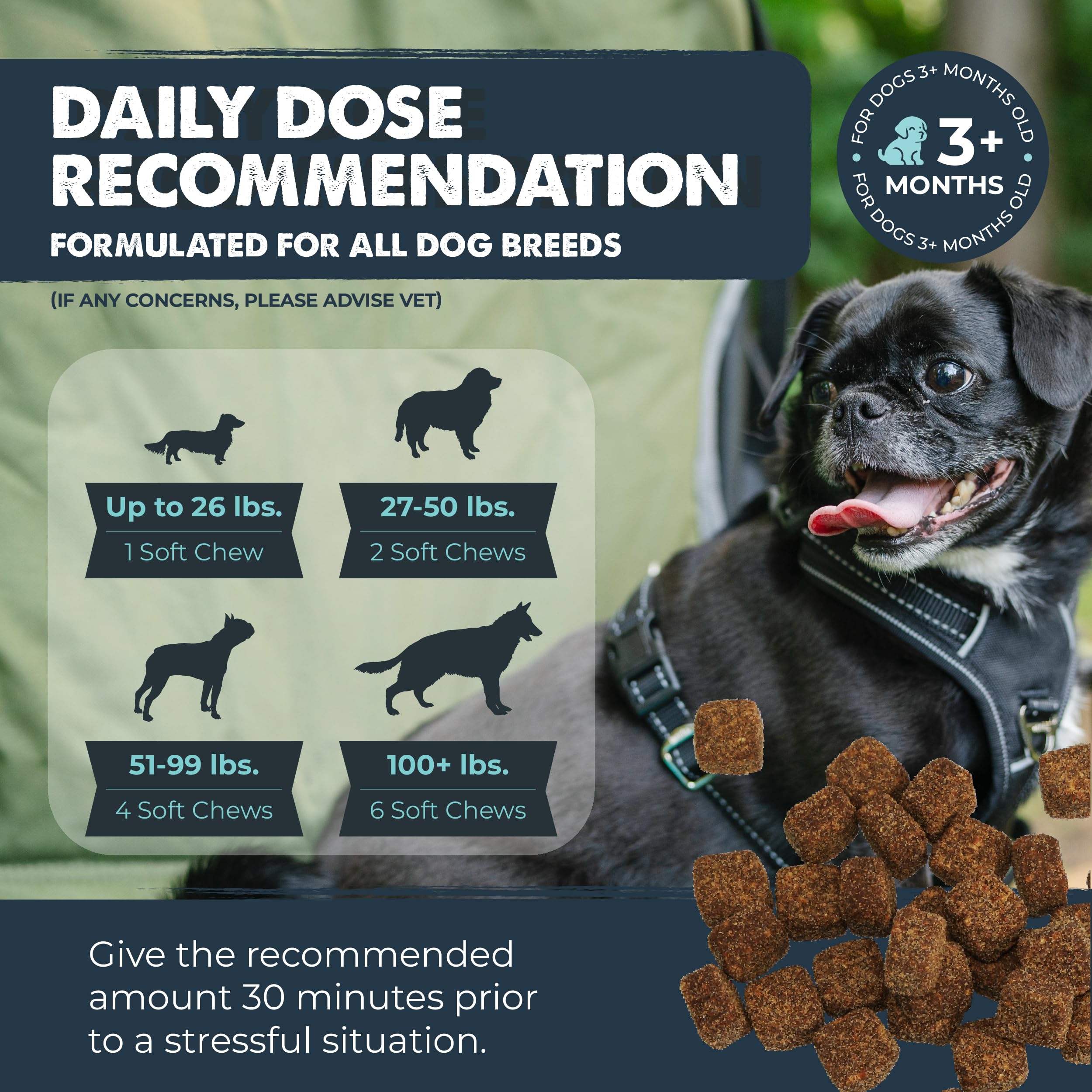 Savory bacon flavor makes calming chews appealing to dogs.