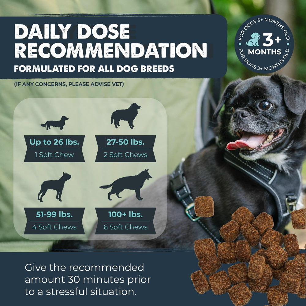 Savory bacon flavor makes calming chews appealing to dogs.