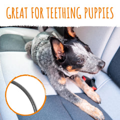 Cinturon Mighty Paw para perro conectado al arnes para viaje