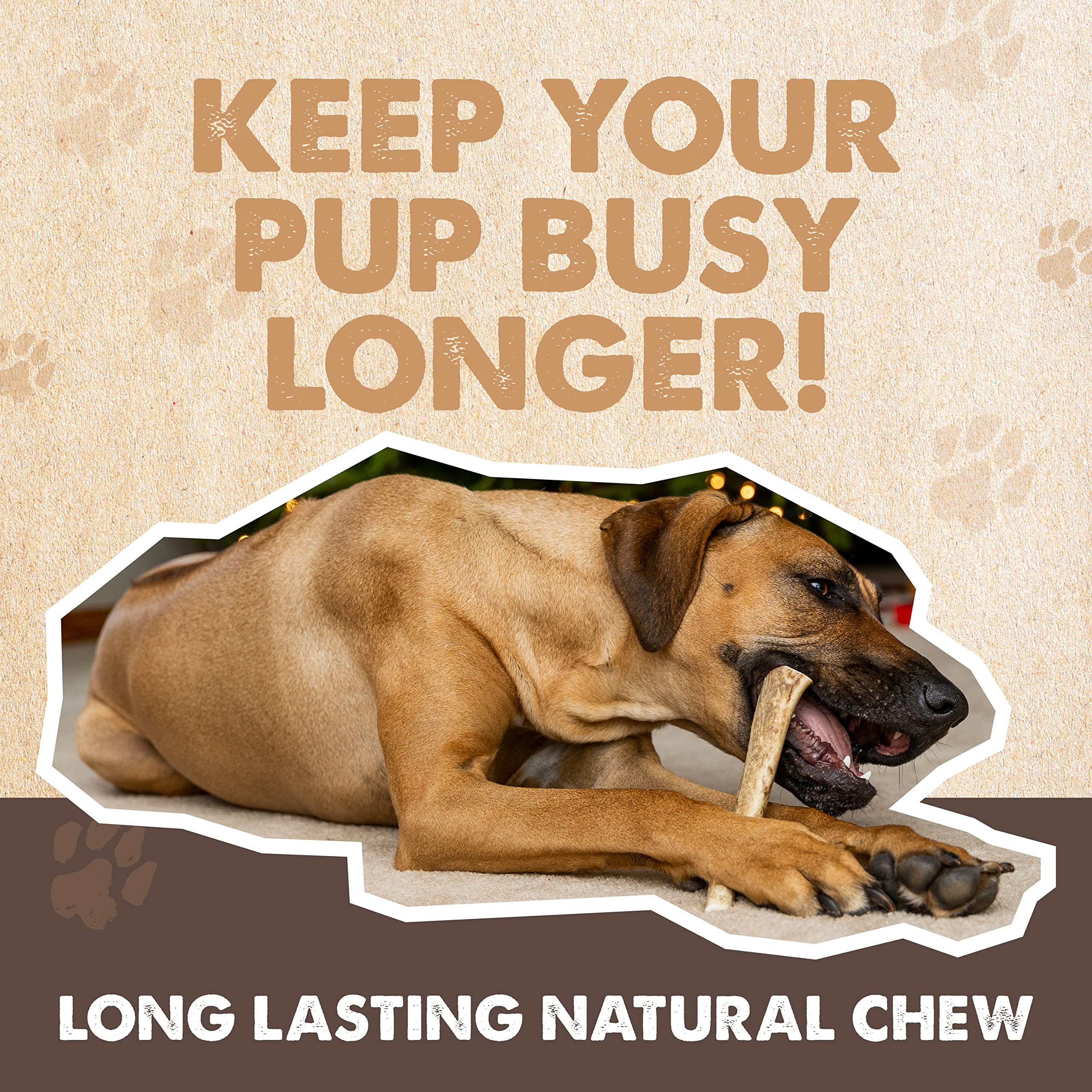 Mighty Paw astas para dientes saludables, ayuda a limpieza dental suave.
