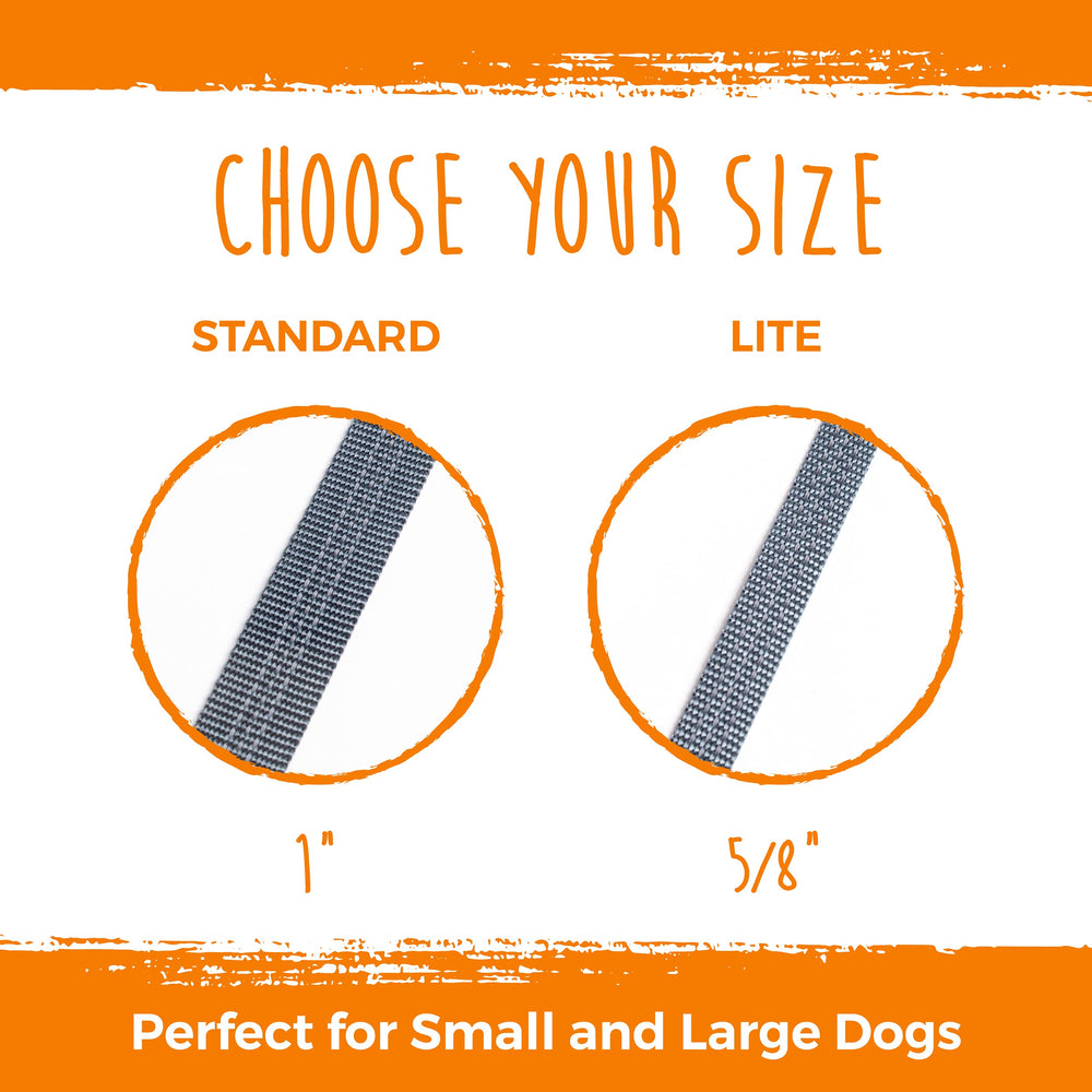 Mighty Paw doble correa para dos perros, sin enredos durante caminatas