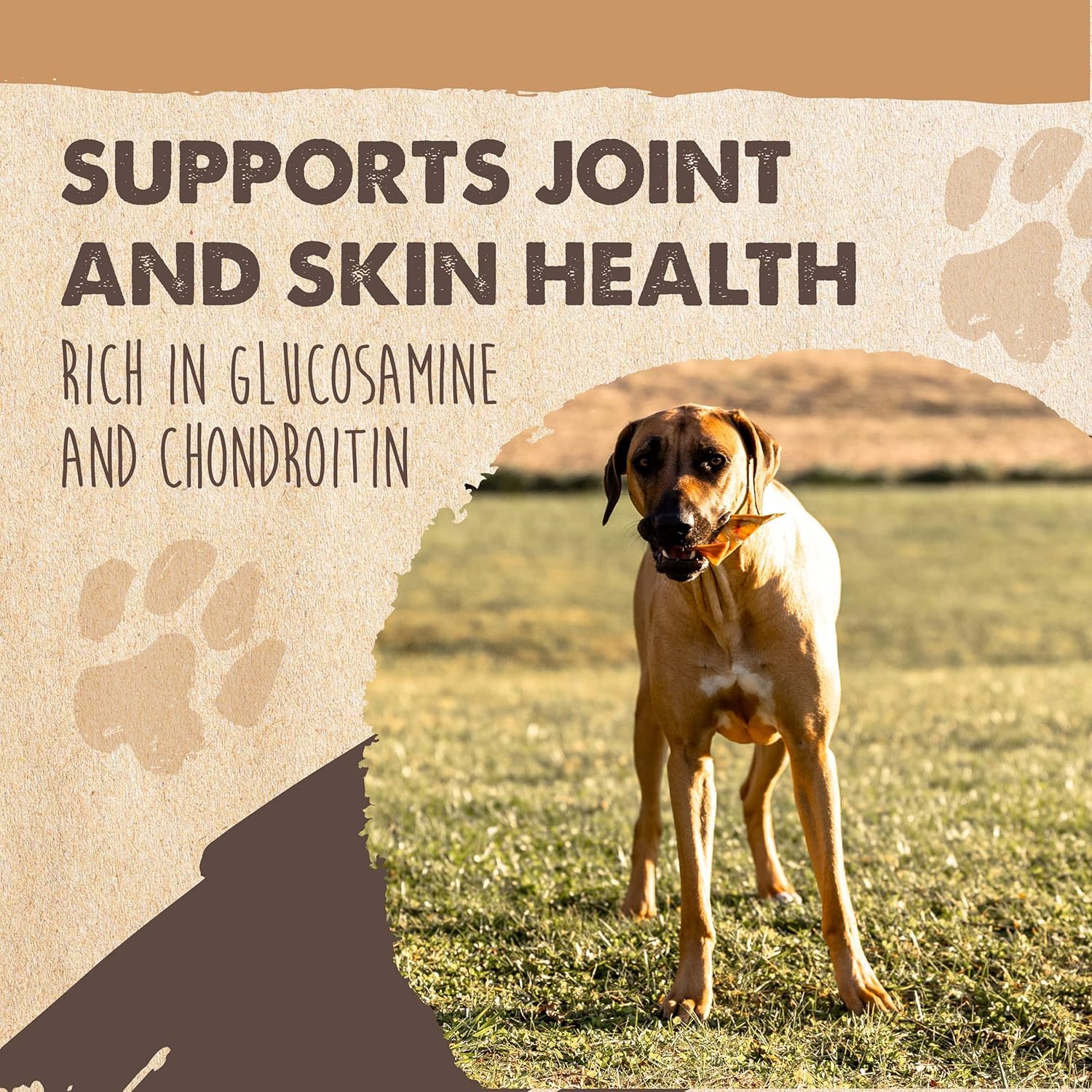 Mighty Paw hecho en EE. UU. con control de calidad.