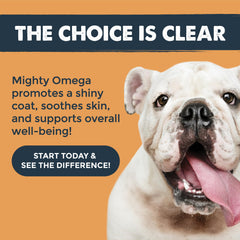 Mighty Paw Mighty Omega: pelaje brillante y saludable en perros.